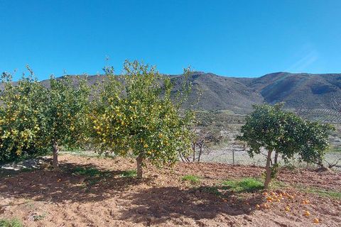 Landejendom i Sorbas, Almeria, Sorbas - € 595.000 | Ref: SOR418 - foto 38