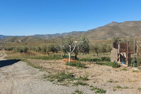 Landejendom i Sorbas, Almeria, Sorbas - € 595.000 | Ref: SOR418 - foto 41