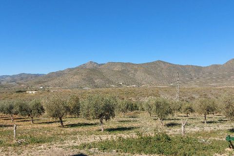 Landejendom i Sorbas, Almeria, Sorbas - € 595.000 | Ref: SOR418 - foto 42