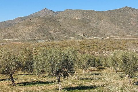 Landejendom i Sorbas, Almeria, Sorbas - € 595.000 | Ref: SOR418 - foto 43