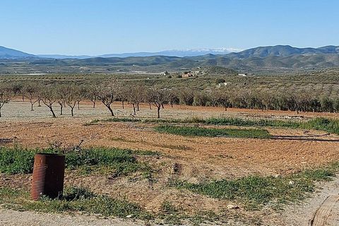 Landejendom i Sorbas, Almeria, Sorbas - € 595.000 | Ref: SOR418 - foto 44