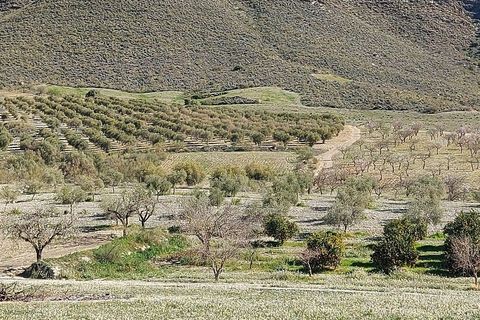 Landejendom i Sorbas, Almeria, Sorbas - € 595.000 | Ref: SOR418 - foto 45