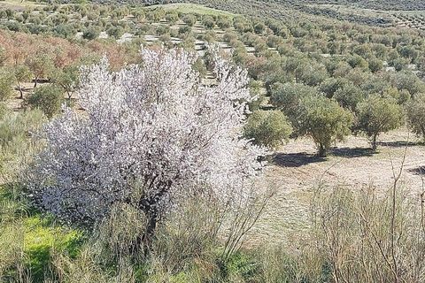 Landejendom i Sorbas, Almeria, Sorbas - € 595.000 | Ref: SOR418 - foto 46