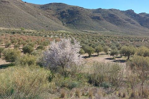 Landejendom i Sorbas, Almeria, Sorbas - € 595.000 | Ref: SOR418 - foto 47