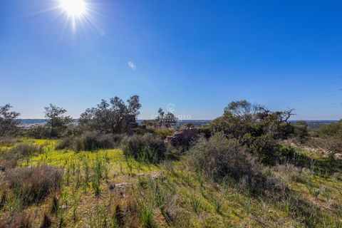Terra a Algoz, Faro, Algoz - € 350.000 | Ref: CNL2302 - foto 2