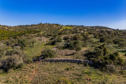 Terra a Algoz, Faro, Algoz - € 350.000 | Ref: CNL2302 - foto 3