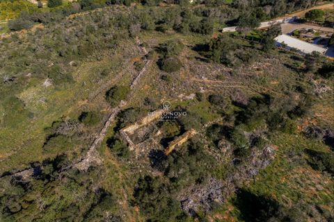 Terra a Algoz, Faro, Algoz - € 350.000 | Ref: CNL2302 - foto 4