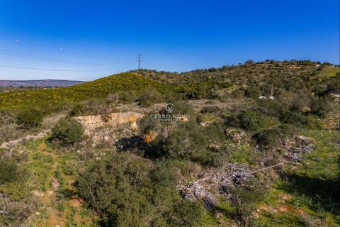 Terra a Algoz, Faro, Algoz - € 350.000 | Ref: CNL2302 - foto 8