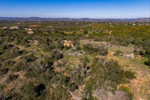 Terra a Algoz, Faro, Algoz - € 350.000 | Ref: CNL2302 - foto 9