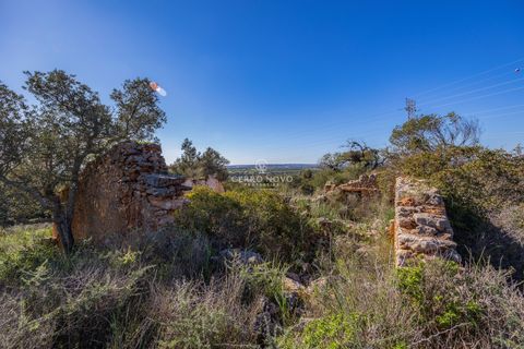 Terra a Algoz, Faro, Algoz - € 350.000 | Ref: CNL2302 - foto 10