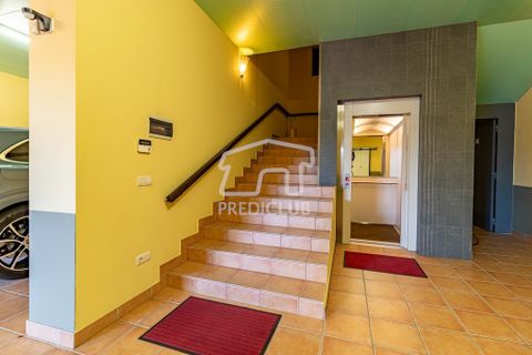 Villa i Funchal, Madeira, Funchal - € 2.750.000 | Ref: 10979-MO - foto 49