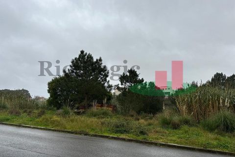 Helårsgrund i Santo Onofre e Serra do Bouro, Leiria, Santo Onofre e Serra do Bouro - € 230.000 | Ref: 476.24 - foto 3