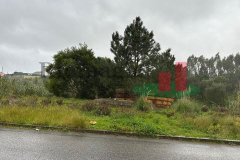 Helårsgrund i Santo Onofre e Serra do Bouro, Leiria, Santo Onofre e Serra do Bouro - € 230.000 | Ref: 476.24 - foto 4