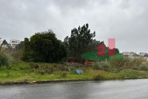 Helårsgrund i Santo Onofre e Serra do Bouro, Leiria, Santo Onofre e Serra do Bouro - € 230.000 | Ref: 476.24 - foto 7