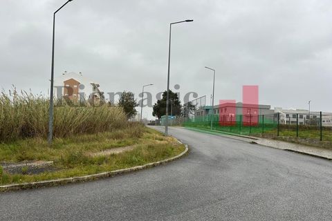 Helårsgrund i Santo Onofre e Serra do Bouro, Leiria, Santo Onofre e Serra do Bouro - € 230.000 | Ref: 476.24 - foto 8