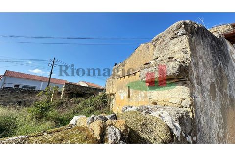 Villa i Rio Maior, Santarem, Rio Maior - € 42.000 | Ref: 470.24 - foto 8