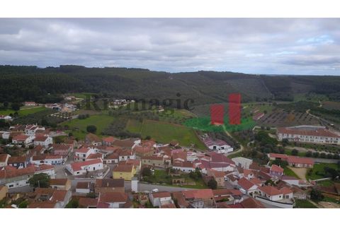 Villa i Rio Maior, Santarem, Rio Maior - € 42.000 | Ref: 470.24 - foto 10