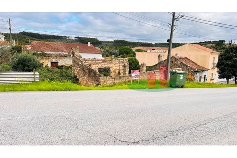 Villa i Rio Maior, Santarem, Rio Maior - € 42.000 | Ref: 470.24 - foto 18