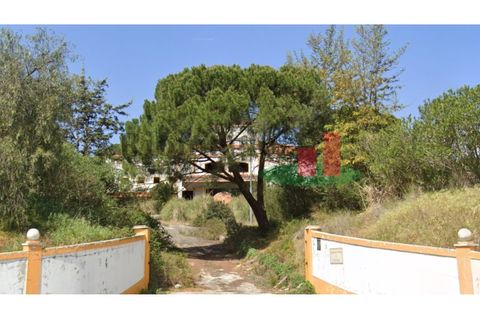 Erhvervsejendom i Coruche, Santarem, Coruche - € 574.750 | Ref: 411.24 - foto 3