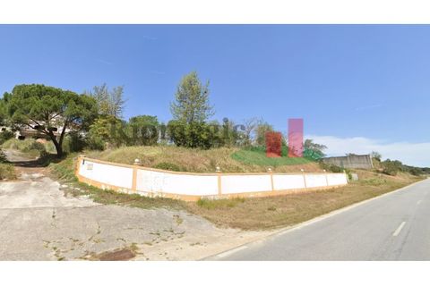 Erhvervsejendom i Coruche, Santarem, Coruche - € 574.750 | Ref: 411.24 - foto 5