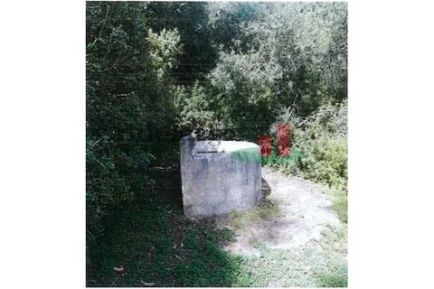 Helårsgrund i Alenquer, Lisbon, Alenquer - € 150.000 | Ref: 304.24 - foto 8