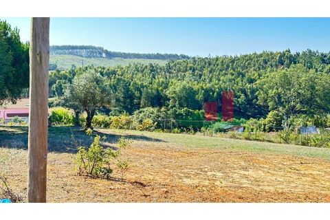 Helårsgrund i Rio Maior, Santarem, Rio Maior - € 130.000 | Ref: 369.24 - foto 5