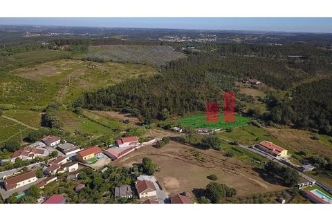 Helårsgrund i Rio Maior, Santarem, Rio Maior - € 130.000 | Ref: 369.24 - foto 19