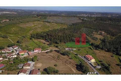 Helårsgrund i Rio Maior, Santarem, Rio Maior - € 130.000 | Ref: 369.24 - foto 20