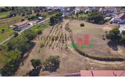 Helårsgrund i Rio Maior, Santarem, Rio Maior - € 130.000 | Ref: 369.24 - foto 22