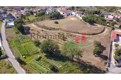 Helårsgrund i Rio Maior, Santarem, Rio Maior - € 130.000 | Ref: 369.24 - foto 24