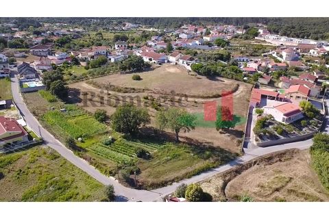 Helårsgrund i Rio Maior, Santarem, Rio Maior - € 130.000 | Ref: 369.24 - foto 25