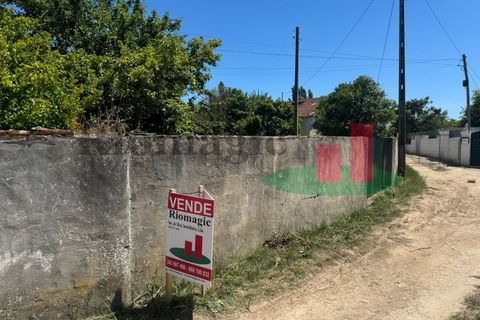 Villa i Rio Maior, Santarem, Rio Maior - € 270.000 | Ref: 212.24 - foto 8