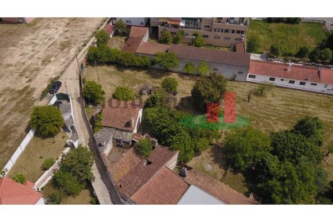 Villa i Rio Maior, Santarem, Rio Maior - € 270.000 | Ref: 212.24 - foto 10