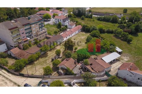Villa i Rio Maior, Santarem, Rio Maior - € 270.000 | Ref: 212.24 - foto 11