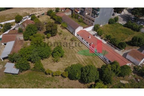 Villa i Rio Maior, Santarem, Rio Maior - € 270.000 | Ref: 212.24 - foto 12