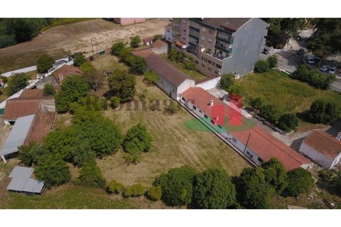 Villa i Rio Maior, Santarem, Rio Maior - € 270.000 | Ref: 212.24 - foto 13