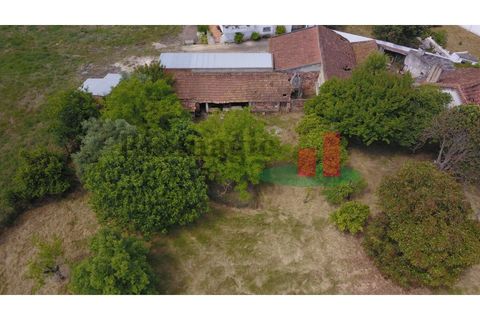Villa i Rio Maior, Santarem, Rio Maior - € 270.000 | Ref: 212.24 - foto 15