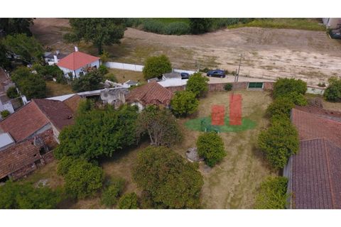 Villa i Rio Maior, Santarem, Rio Maior - € 270.000 | Ref: 212.24 - foto 16