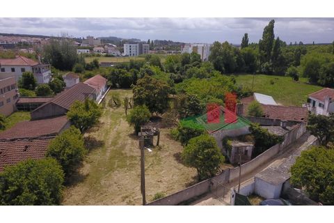 Villa i Rio Maior, Santarem, Rio Maior - € 270.000 | Ref: 212.24 - foto 18