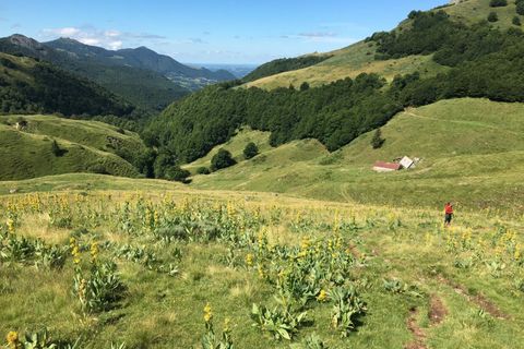 Landejendom i Aurillac, Cantal, Aurillac - € 650.000 | Ref: 303 - foto 5