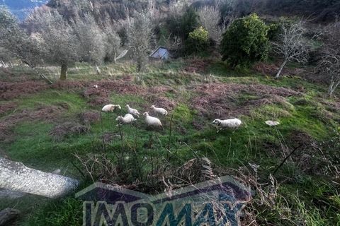Granja a Cinfaes, Viseu, Cinfaes - € 150.000 | Ref: 2025-006 - foto 2