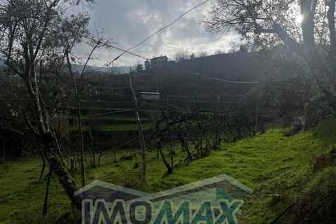 Granja a Cinfaes, Viseu, Cinfaes - € 150.000 | Ref: 2025-006 - foto 20