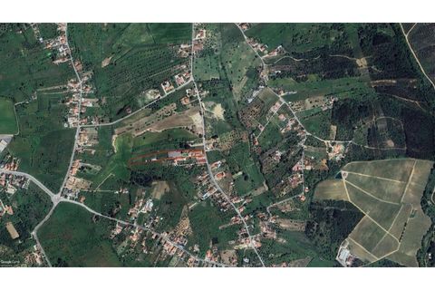Farm i Tomar, Santarem, Tomar - € 690.000 | Ref: KWPT-011839 - foto 2