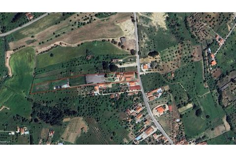 Farm i Tomar, Santarem, Tomar - € 690.000 | Ref: KWPT-011839 - foto 3