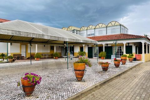 Farm i Tomar, Santarem, Tomar - € 690.000 | Ref: KWPT-011839 - foto 17