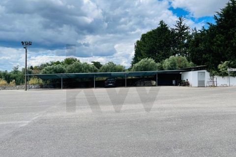 Farm i Tomar, Santarem, Tomar - € 690.000 | Ref: KWPT-011839 - foto 23