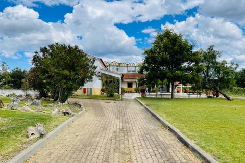 Farm i Tomar, Santarem, Tomar - € 690.000 | Ref: KWPT-011839 - foto 25