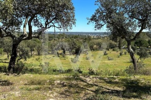 Terra a Montargil, Portalegre, Montargil - € 98.000 | Ref: 1204-3708 - foto 2