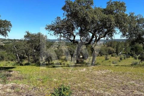 Terra a Montargil, Portalegre, Montargil - € 98.000 | Ref: 1204-3708 - foto 3