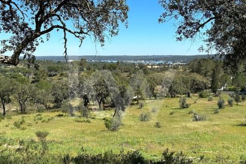 Terra a Montargil, Portalegre, Montargil - € 98.000 | Ref: 1204-3708 - foto 4